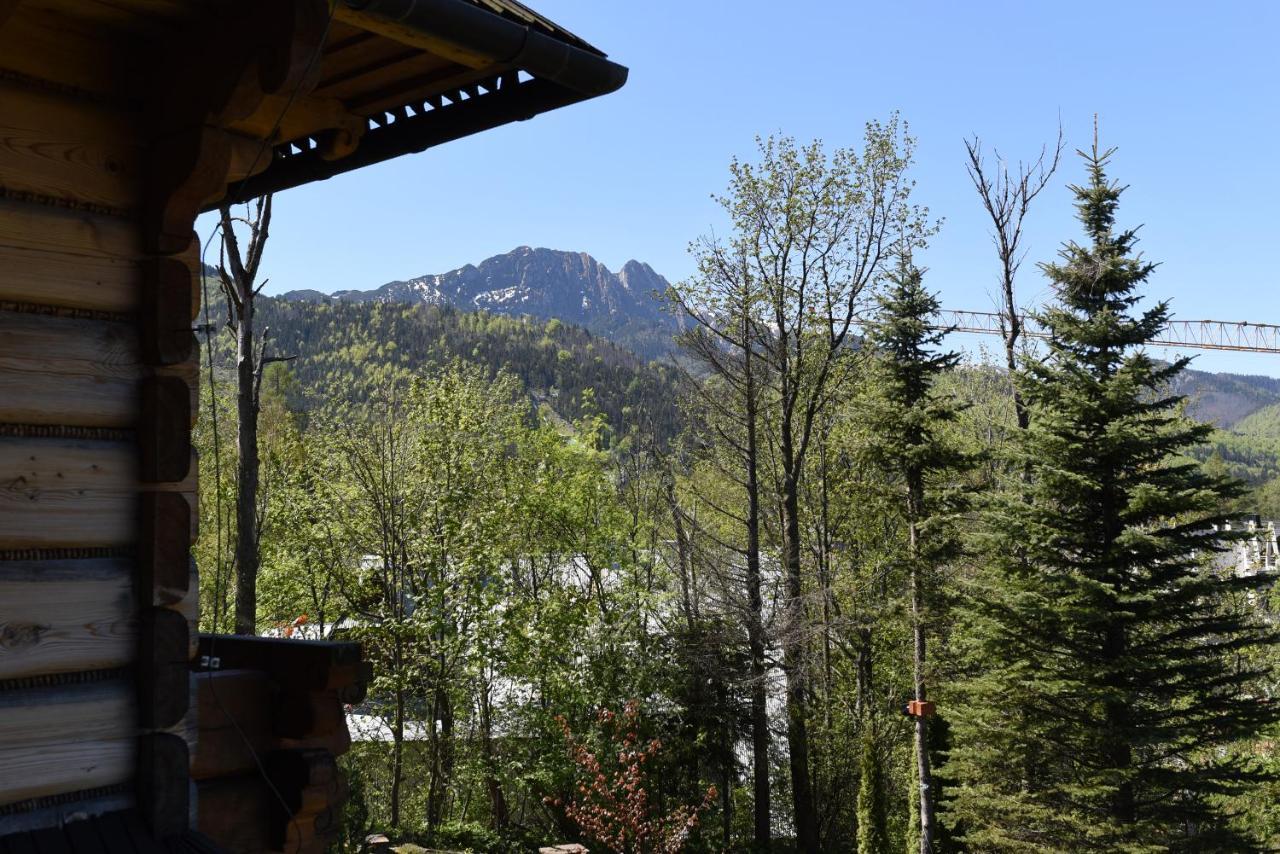 Willa Wojciechowo Zakopane Exterior foto